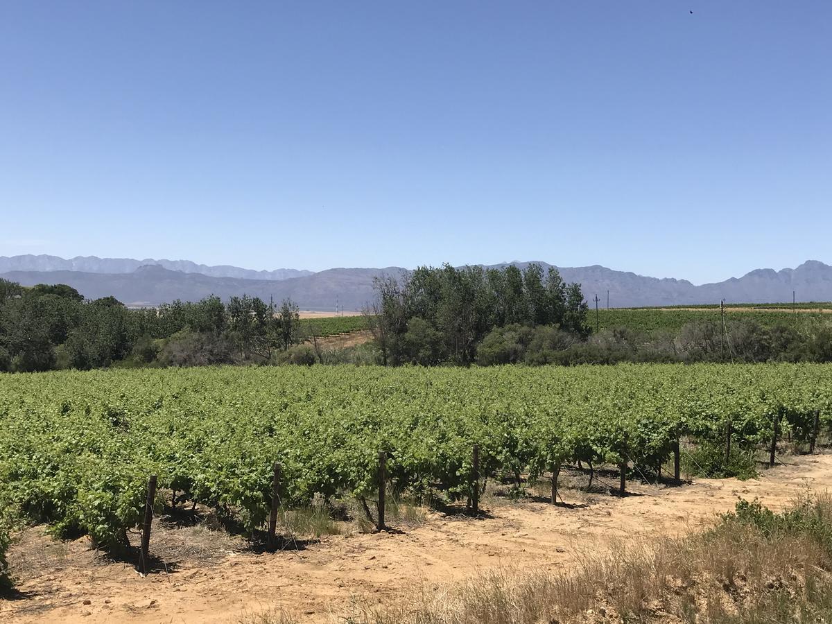 ホテル ルビー ローズ Riebeek-Wes エクステリア 写真